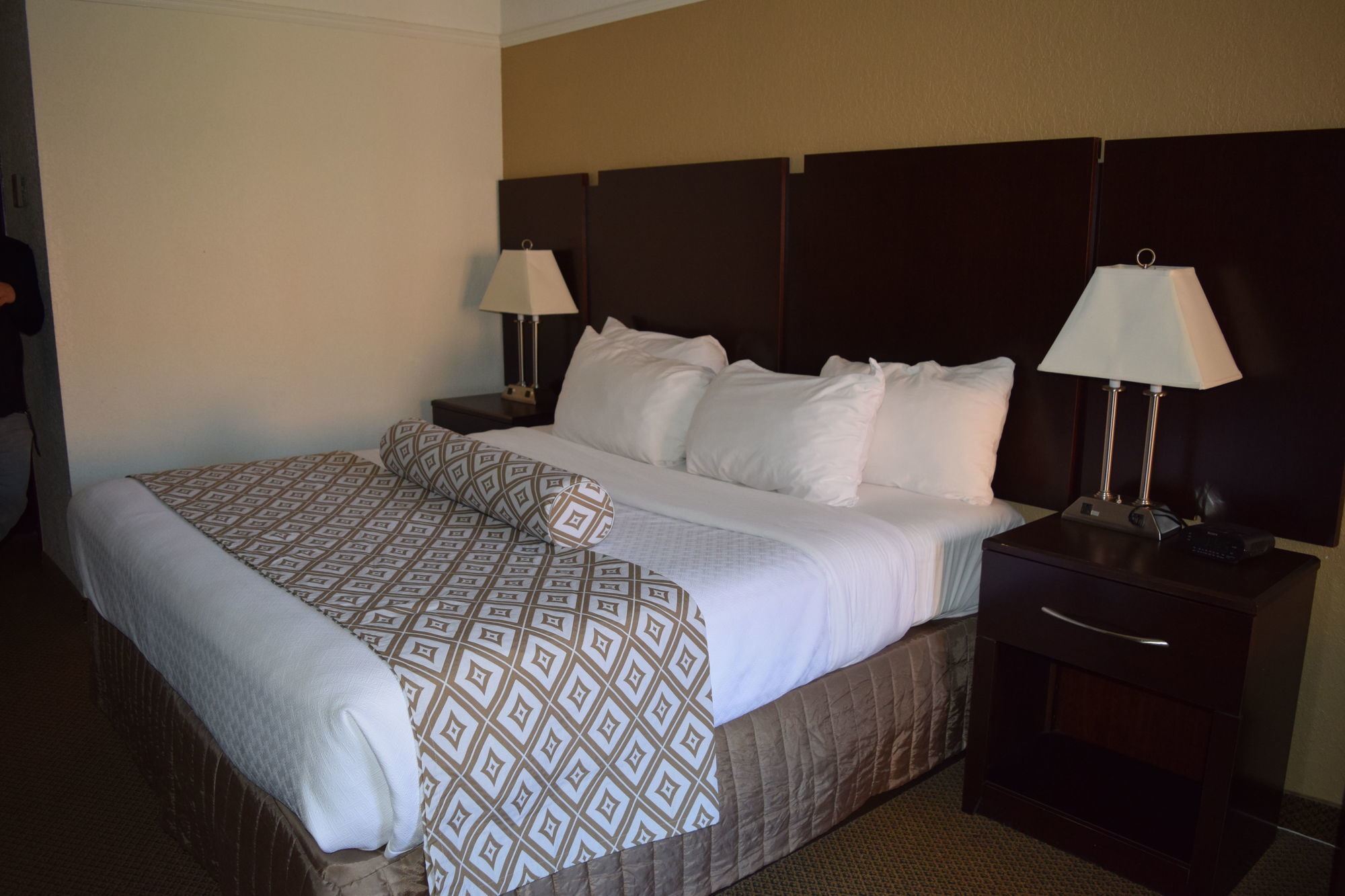 Four Points By Sheraton Detroit Novi Kamer foto